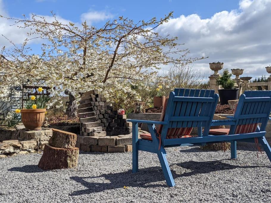 Secluded Private Cottage Hot-Tub, Sauna & Fire-Pit Carrick-on-Shannon Exterior foto